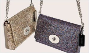 glitter-purse